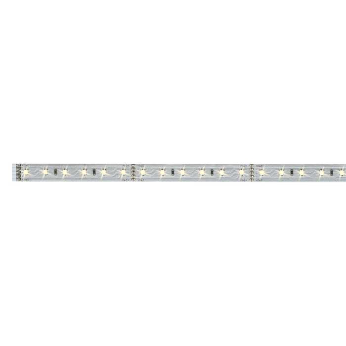BANDEAU LED STRIP "MAXLED 500" 6,5W/M 827 1M BANDEAU LED STRIP "MAXLED 500" 6,5W/M 827 1M