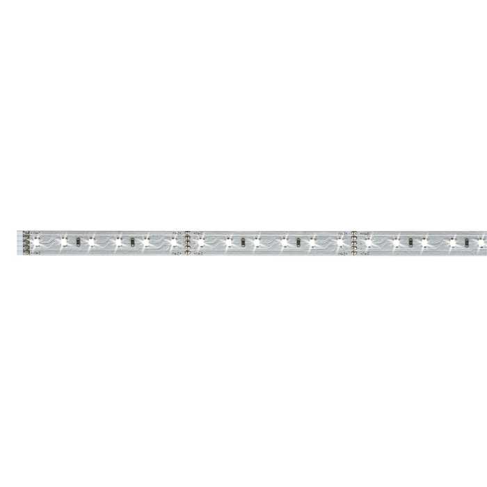 BANDEAU LED STRIP "MAXLED 500" 6W/M 865 1M BANDEAU LED STRIP "MAXLED 500" 6W/M 865 1M