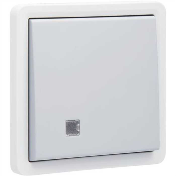 HYDRO - BOUTON POUSSOIR 10A AVEC VOYANT GRIS IP55 HYDRO - BOUTON POUSSOIR 10A AVEC VOYANT GRIS IP55