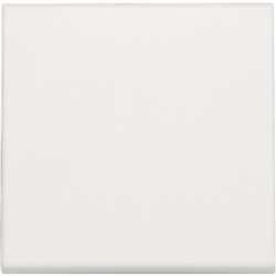 MANETTE A VARIATEUR LED BOUTON POUSSOIR BLANC